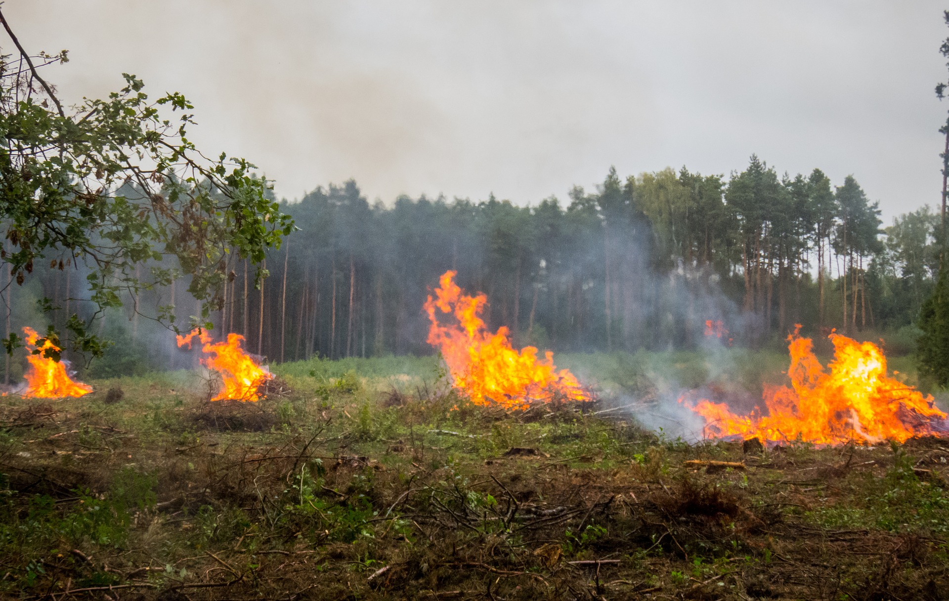 Symbolfoto Brand Feuer