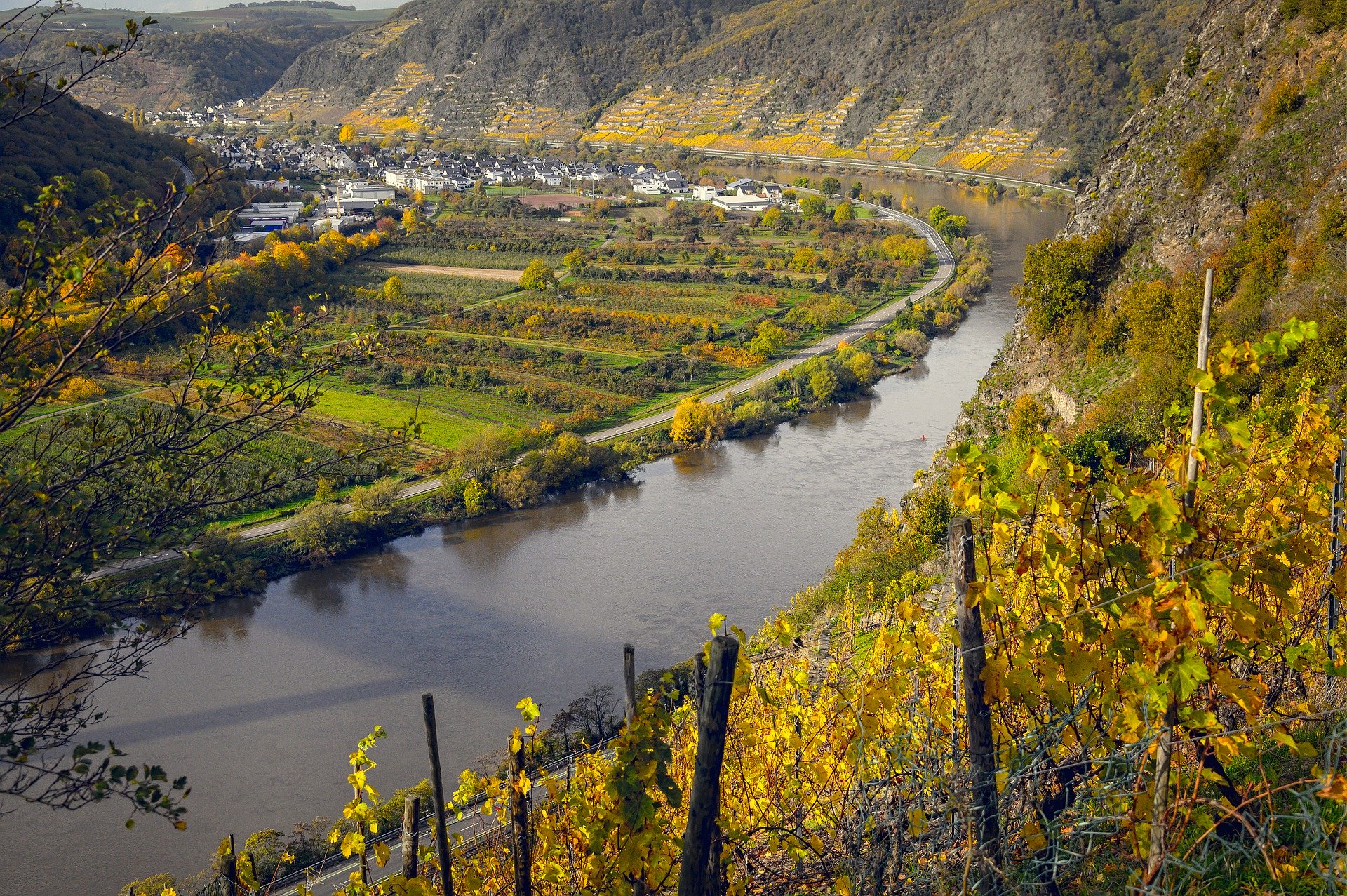 Symbolfoto Weinberge Reben