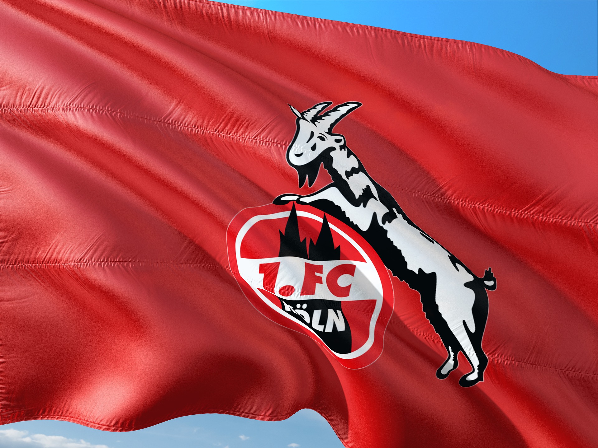 Symboldbild 1.FC Köln