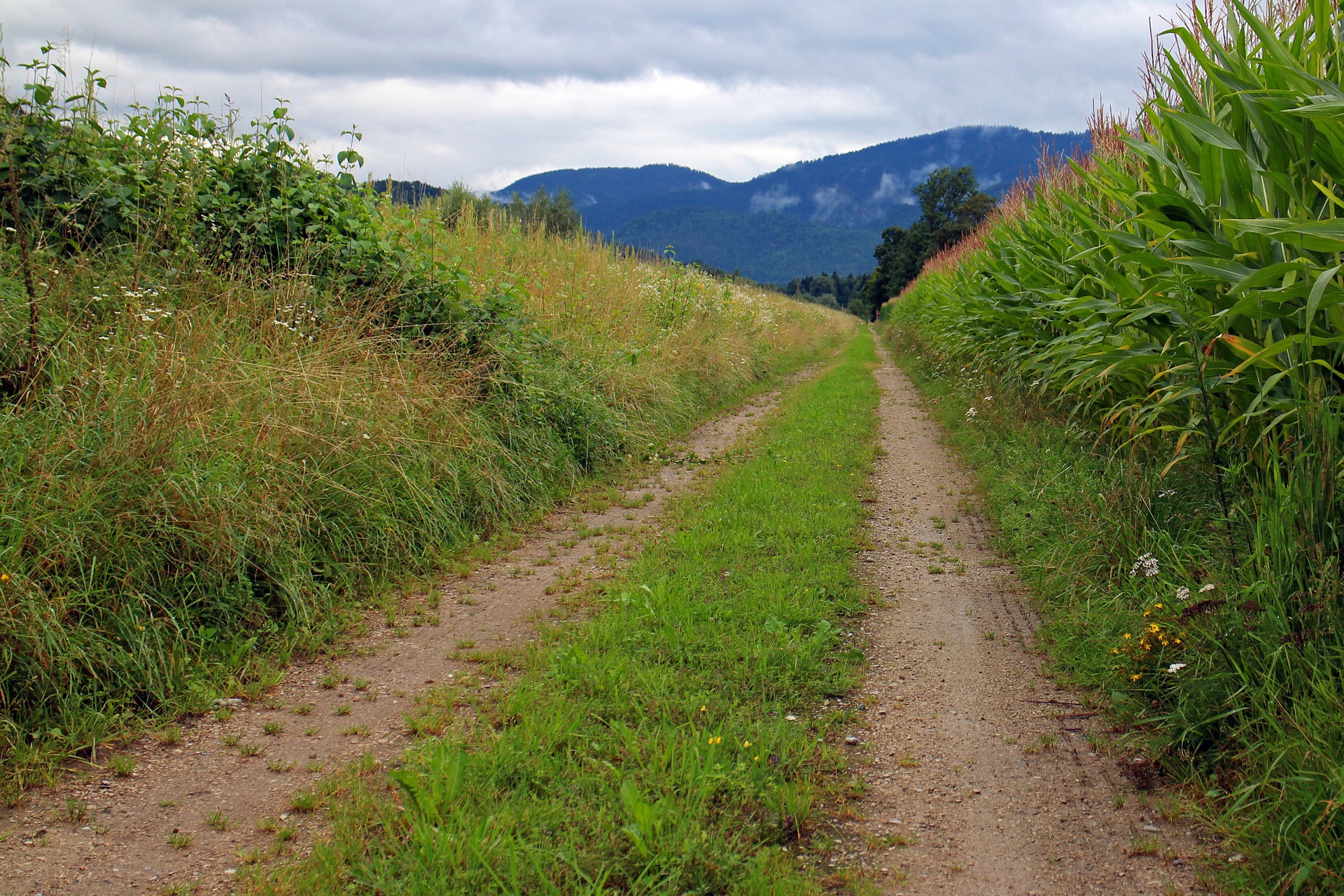 Symbolbild Rad- und Wirtschaftsweg