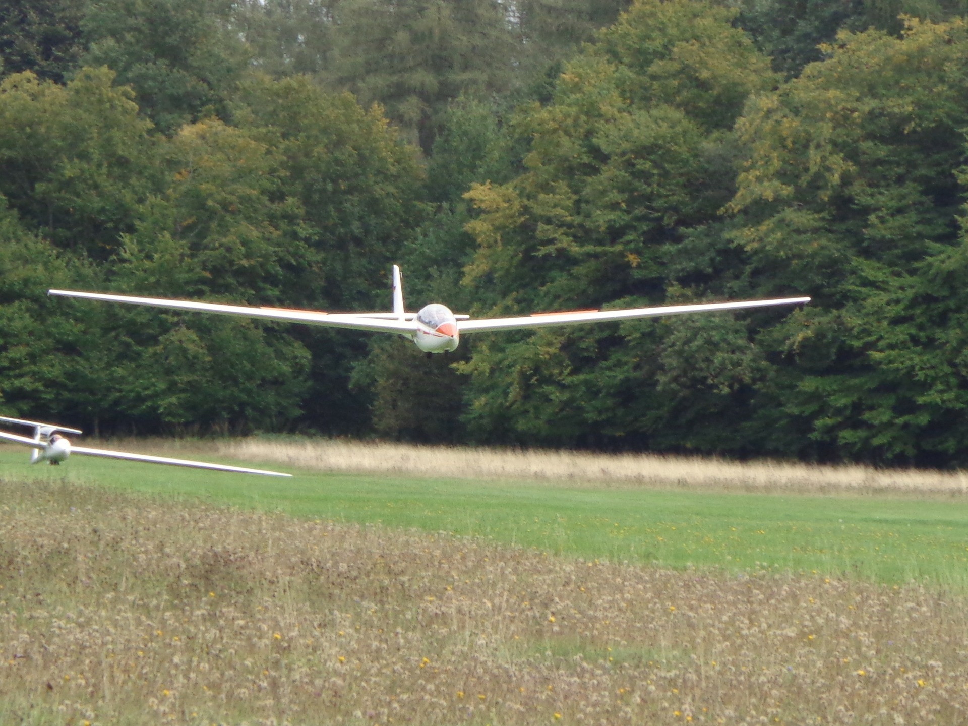 Symbolfoto Modellflugzeug