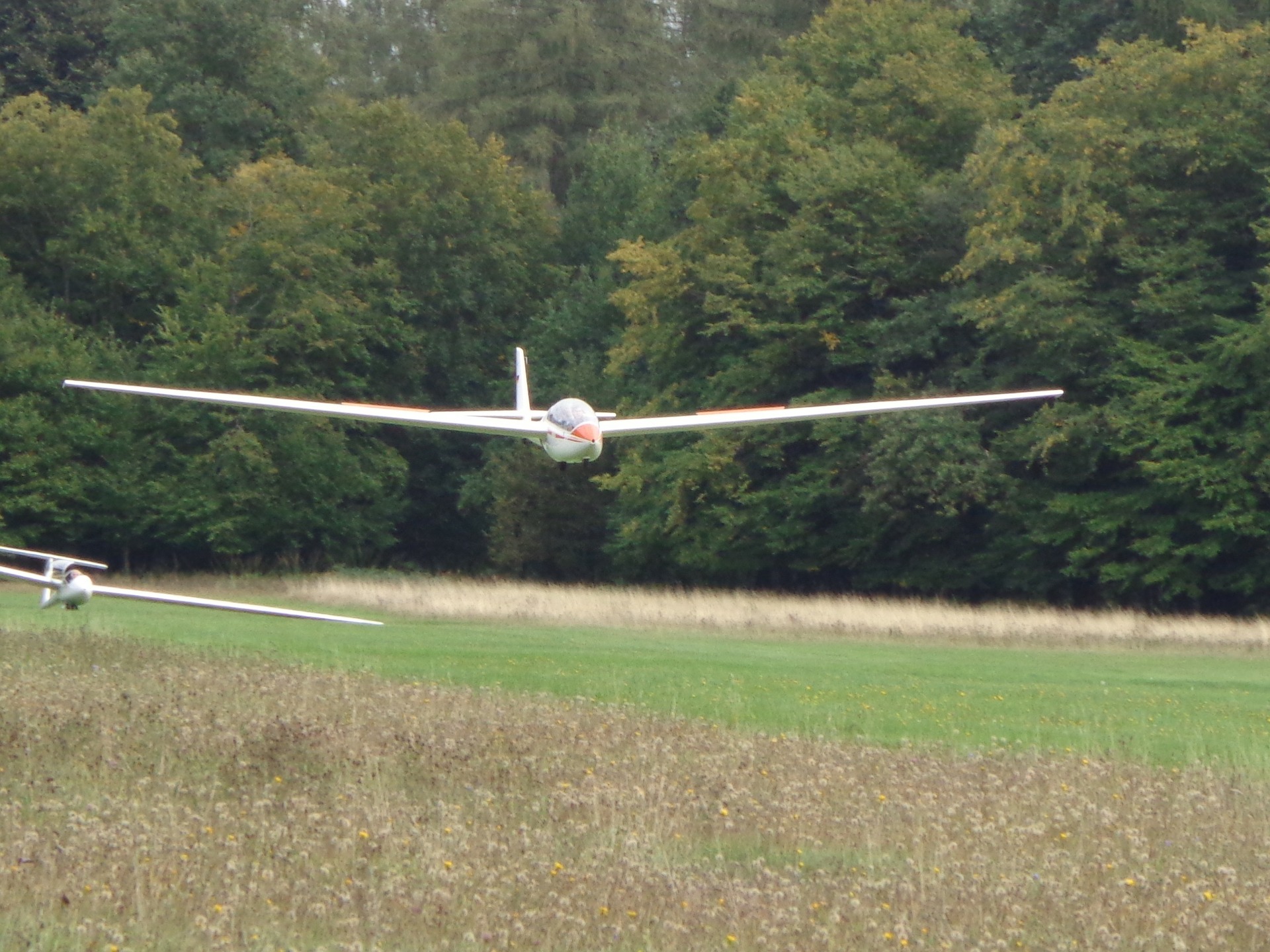 Symbolfoto Modellflugzeug