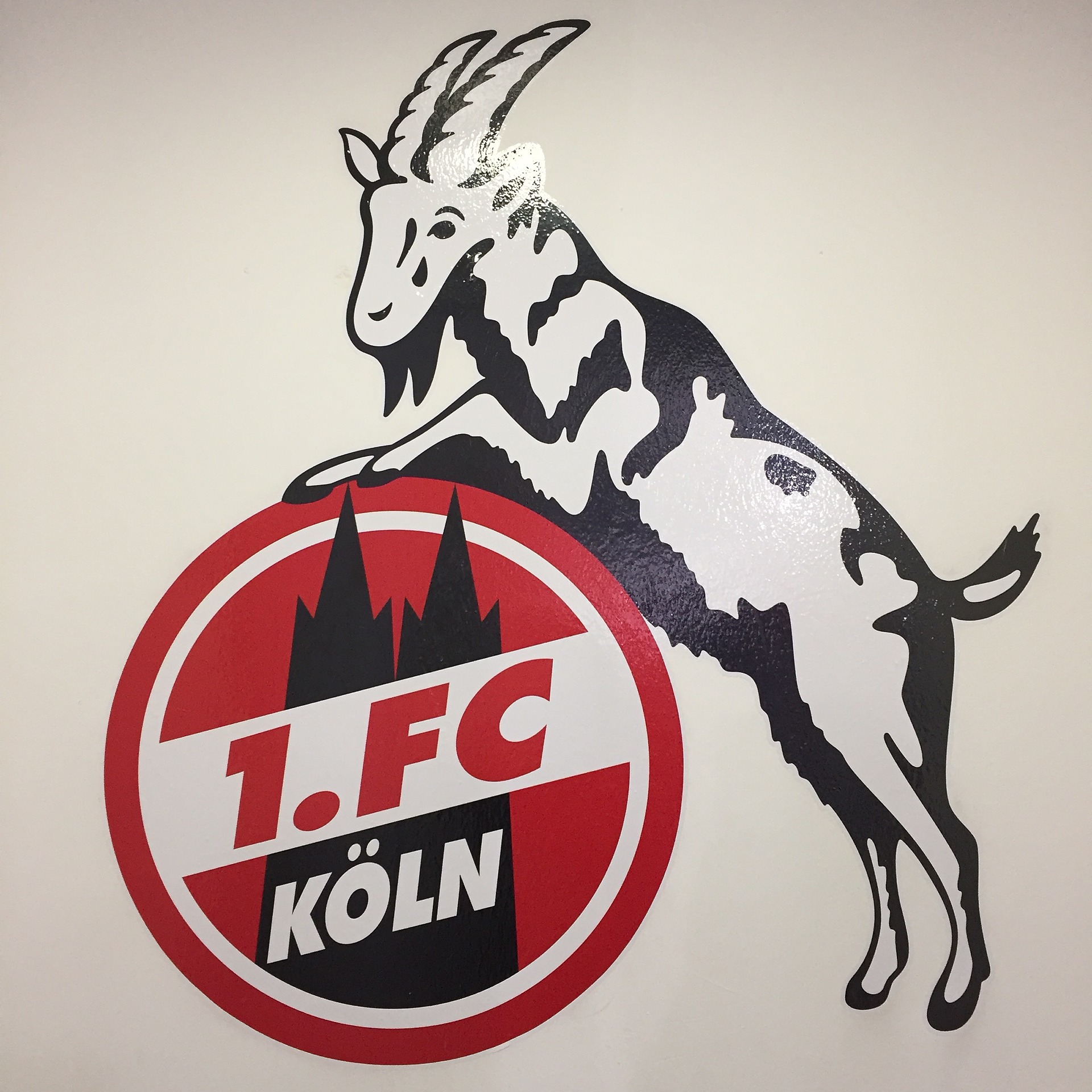 Symbolfoto FC Köln Geißbock