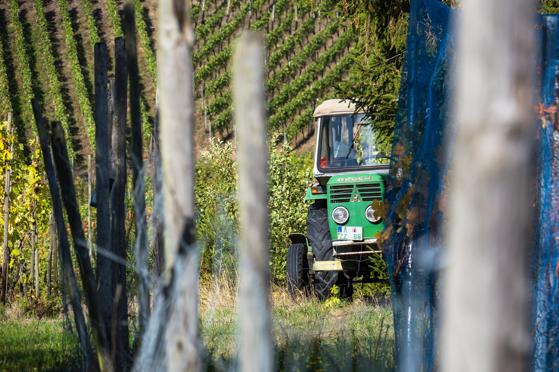 Symbolfoto Traktor Weinberg