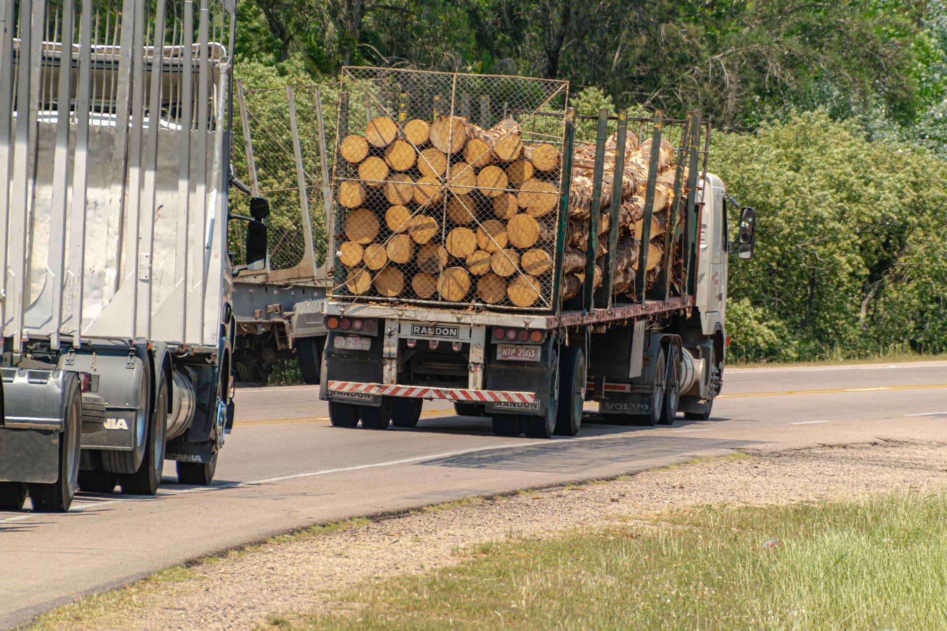 Symbolfoto Holztransporter