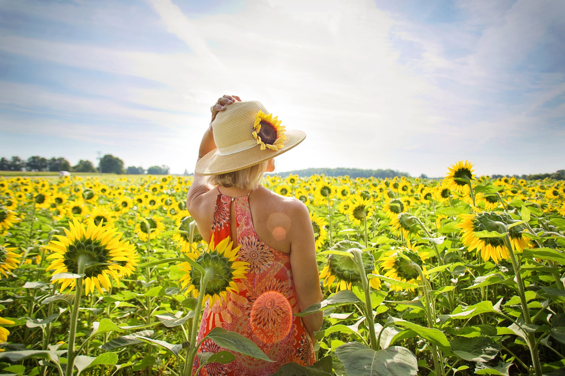 Symbolfoto Sommer