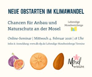 Neue ObstartenimKlimawandel – Chancen für Anbau und Naturschutz an der Mosel